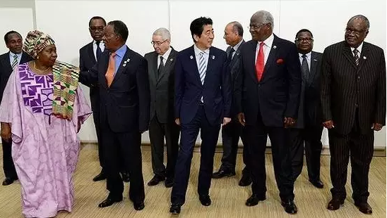 安倍此去肯尼亞是為了出席日本政府主導的第六屆非洲開發會議。此次會議通過了內羅畢宣言：主要內容包括，促進經濟多元化，通過產業化推動經濟結構改革;促進保障高品質的保健系統;促進保障共同繁榮的社會安定。