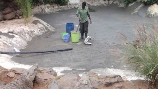 穆克的養殖場，鱷視眈眈下的工作人員。