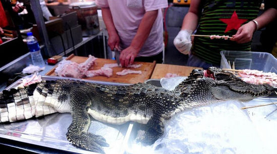 沈陽現“烤鱷魚肉”20元一串現烤現賣(圖) 沈陽現“烤鱷魚肉”20元一串現烤現賣(圖)