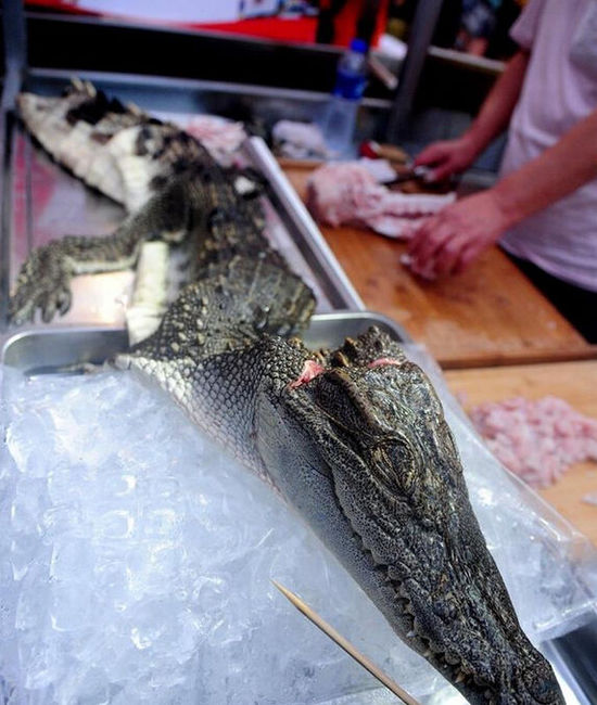 沈陽現“烤鱷魚肉”20元一串現烤現賣(圖) 沈陽現“烤鱷魚肉”20元一串現烤現賣(圖)