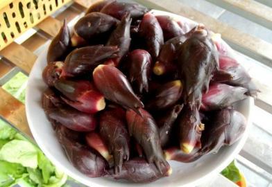 四川多個景區農家樂賣不明野菜 野芹毒芹分不清