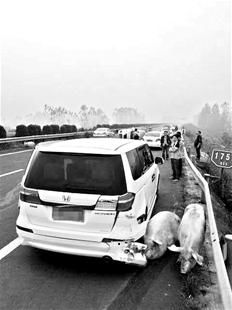 楚天都市報訊 楚天都市報訊