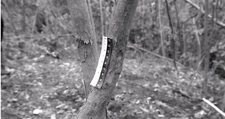 破產老板為騙180萬保險花3萬雇兇殺死自己 破產老板為騙180萬保險花3萬雇兇殺死自己