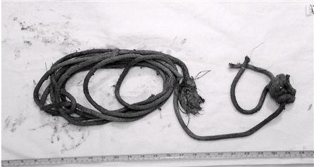 破產老板為騙180萬保險花3萬雇兇殺死自己 破產老板為騙180萬保險花3萬雇兇殺死自己