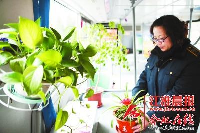 合肥公交司機自費購買《三字經(jīng)》裝飾車廂獲贊