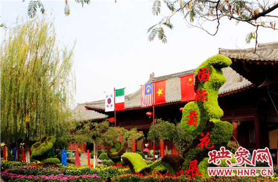 第三屆國際菊展暨《天下菊花》發行儀式在清園舉行