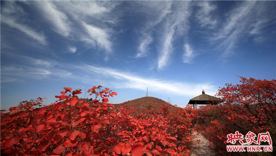 青天河景區空氣負離子濃度超高 是天然大氧吧 青天河景區空氣負離子濃度超高 是天然大氧吧