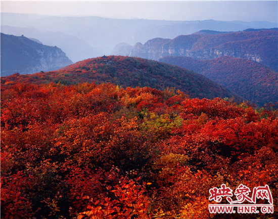 青天河景區空氣負離子濃度超高 是天然大氧吧 青天河景區空氣負離子濃度超高 是天然大氧吧