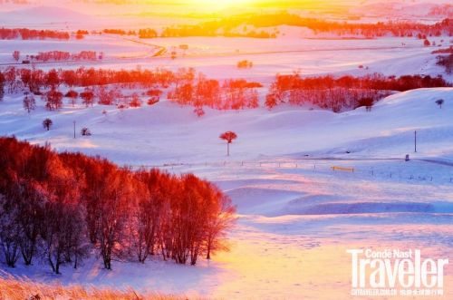 徒步林海雪原 尋找中國最美的賞雪勝地 徒步林海雪原 尋找中國最美的賞雪勝地