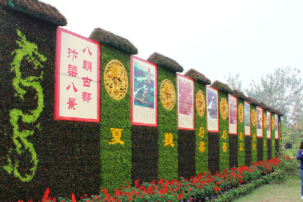 中國(開封)第32屆菊花文化節圓滿落下帷幕