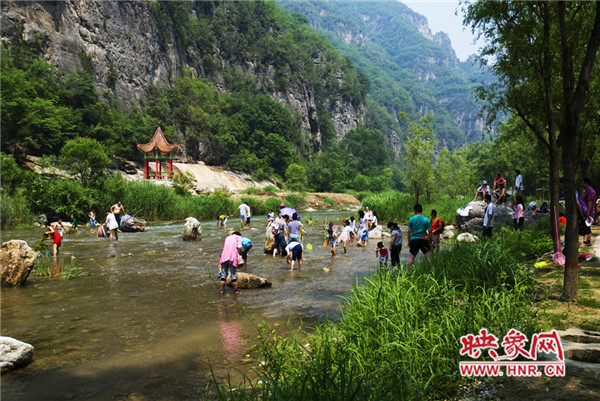 暑假到青天河 “清涼一夏” 優惠多活動多