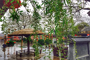 雨后清園 雨后清園