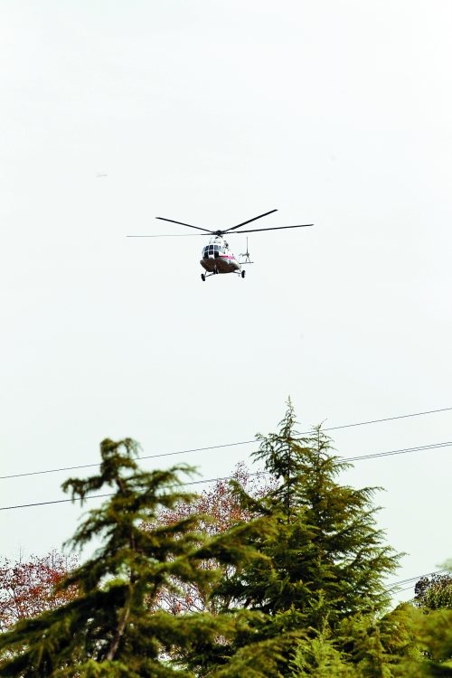 輕拋一點入云去,利眼“鐵鷹”掠地來 輕拋一點入云去,利眼“鐵鷹”掠地來