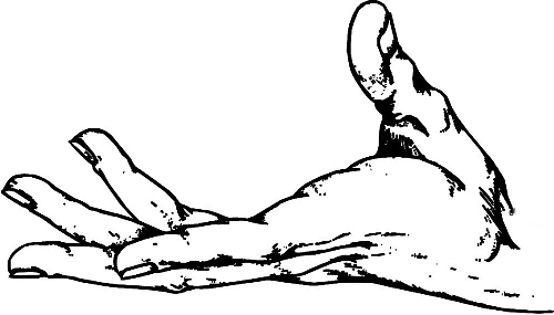 時間:拿到通知書,未報到就可申請 時間:拿到通知書,未報到就可申請