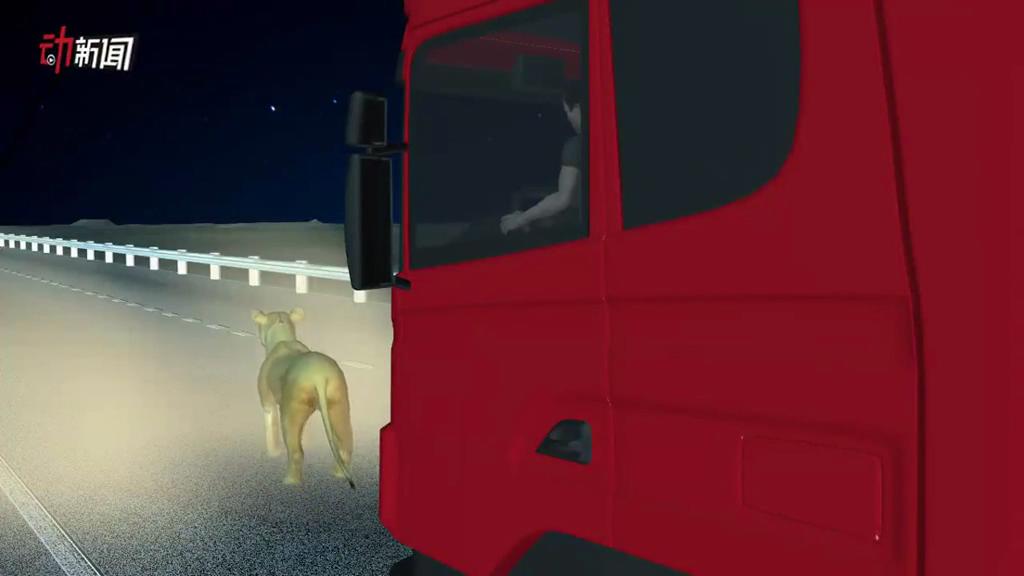 3D還原猛獅逼近高速服務區 特警20多槍擊斃