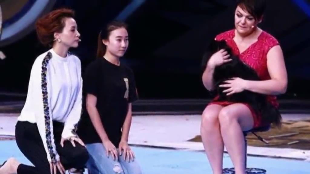 又當托？ 董卿節目現場當眾對狗下跪稱被催眠