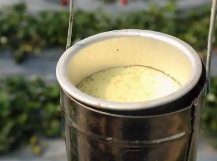 硫磺熏蒸燈來(lái)殺菌