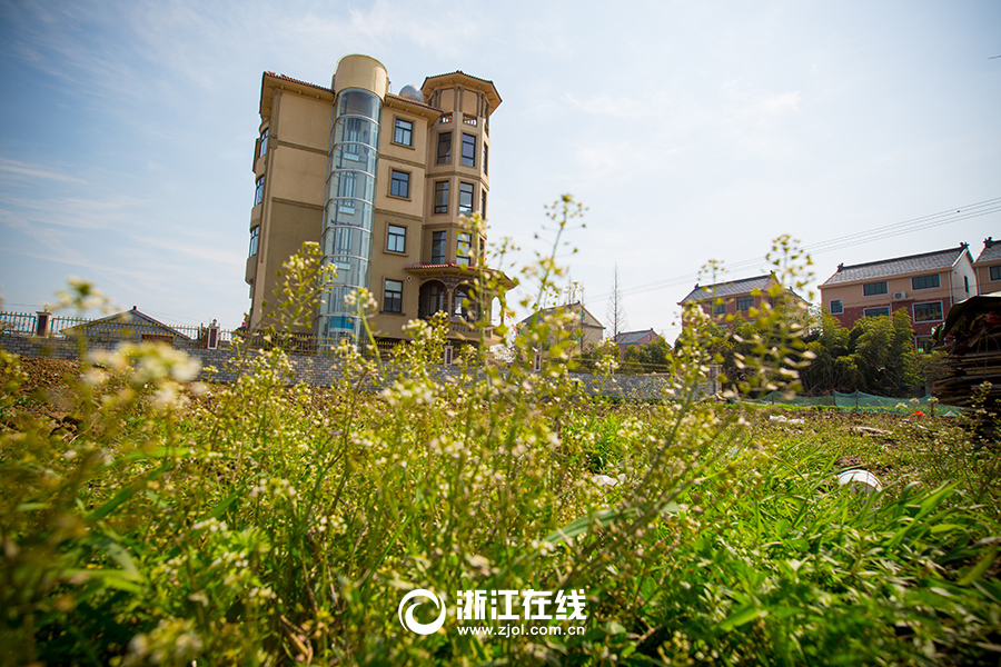 史上最壕農居房:游泳池+觀光電梯 史上最壕農居房:游泳池+觀光電梯