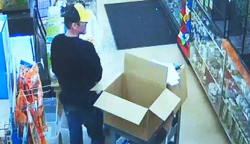 膽太大!男子把寵物店蟒蛇塞進褲襠里偷走(圖)